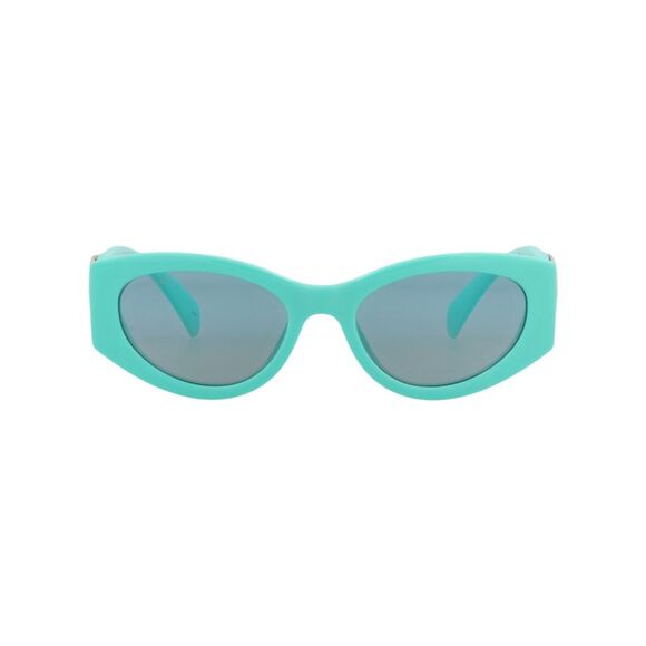Gucci Cat Eye-Frame Injection Sunglasses Blue Womens